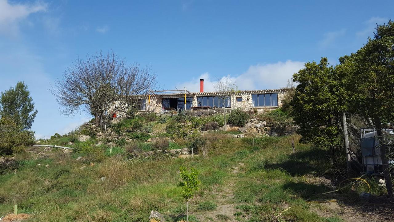La Loubiere, Ancienne Bergerie En Pleine Garrigue Bed and Breakfast Fraissé-des-Corbières Εξωτερικό φωτογραφία