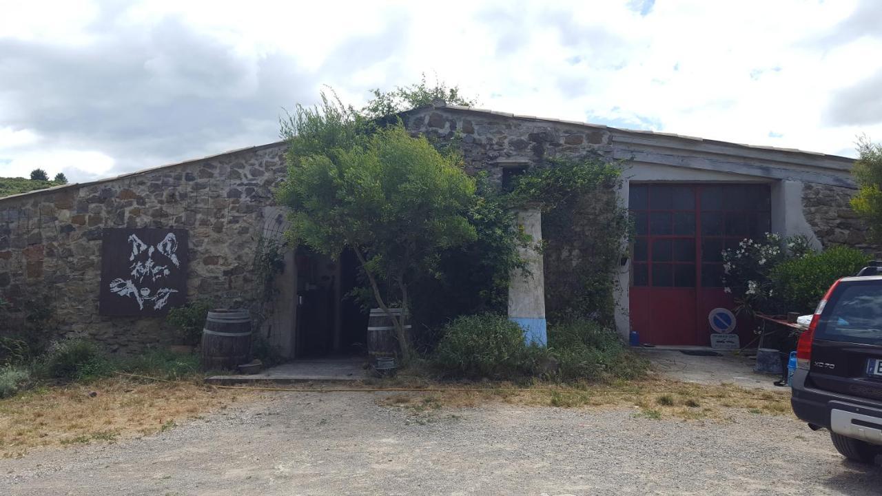 La Loubiere, Ancienne Bergerie En Pleine Garrigue Bed and Breakfast Fraissé-des-Corbières Εξωτερικό φωτογραφία