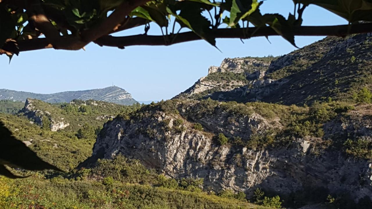 La Loubiere, Ancienne Bergerie En Pleine Garrigue Bed and Breakfast Fraissé-des-Corbières Εξωτερικό φωτογραφία