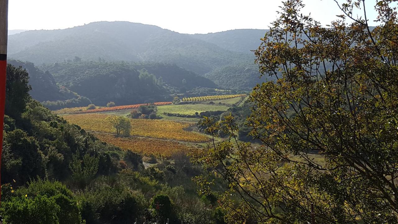 La Loubiere, Ancienne Bergerie En Pleine Garrigue Bed and Breakfast Fraissé-des-Corbières Εξωτερικό φωτογραφία