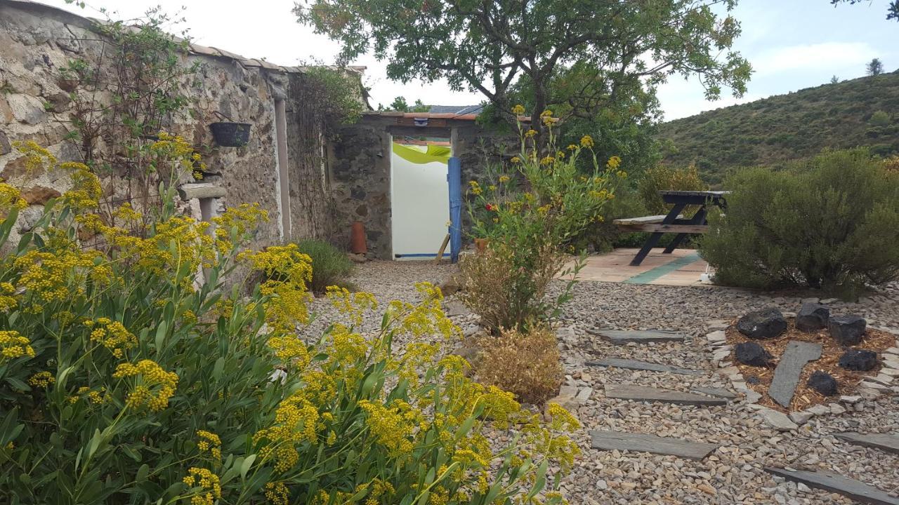La Loubiere, Ancienne Bergerie En Pleine Garrigue Bed and Breakfast Fraissé-des-Corbières Εξωτερικό φωτογραφία