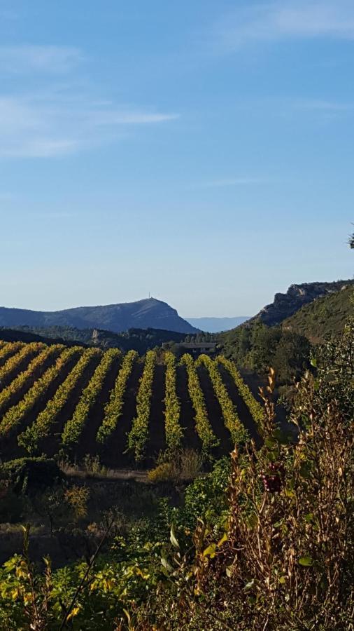 La Loubiere, Ancienne Bergerie En Pleine Garrigue Bed and Breakfast Fraissé-des-Corbières Εξωτερικό φωτογραφία